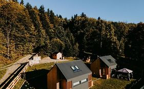 Domki pod Kamionna